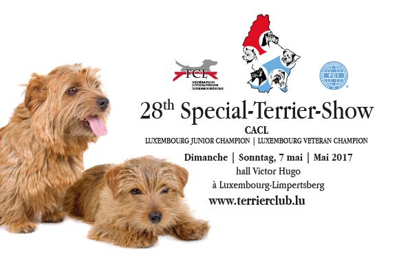 Da Beira Alta - 28th Special Terrier Show Luxembourg